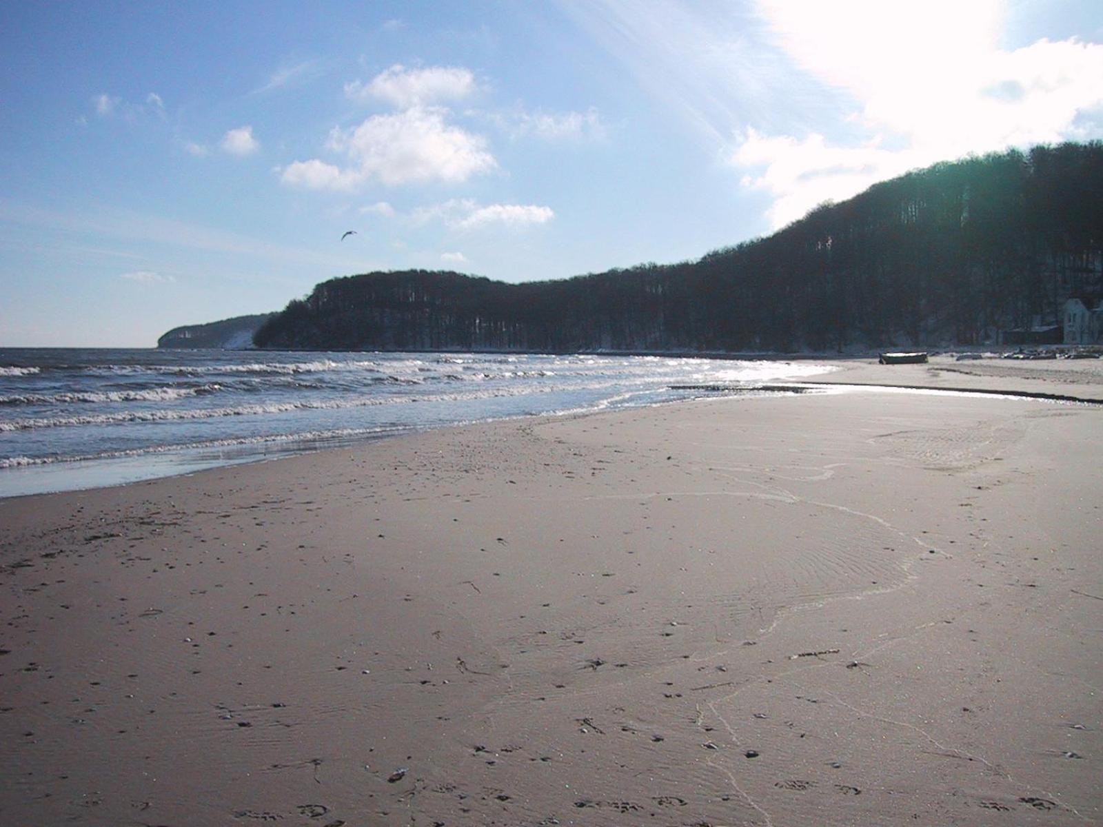 Pension Sanddorn Binz Bagian luar foto