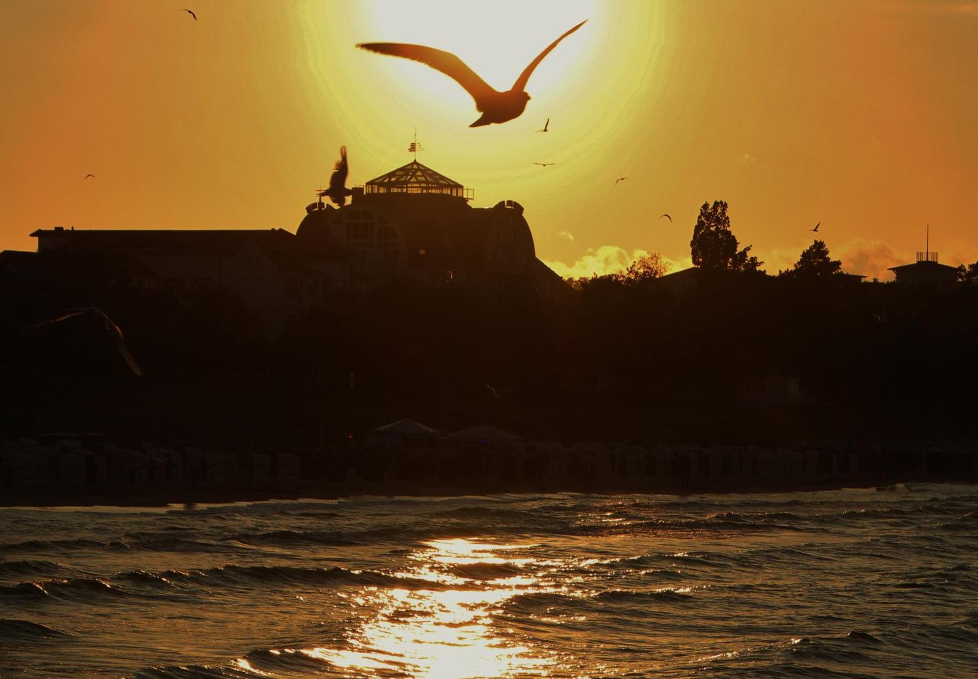 Pension Sanddorn Binz Bagian luar foto
